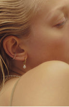 Load image into Gallery viewer, Rose Hoops