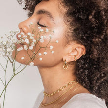 Load image into Gallery viewer, Olivia Hoops